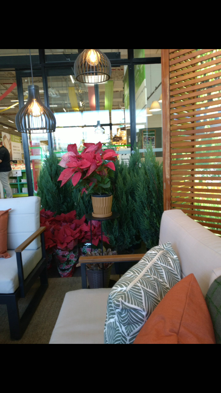 Faullas Decorações E Eventos image