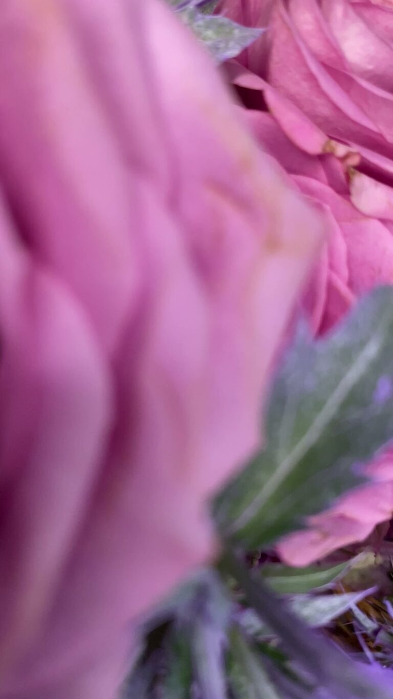 Joyss Gabriella Makeup Maquiadora image