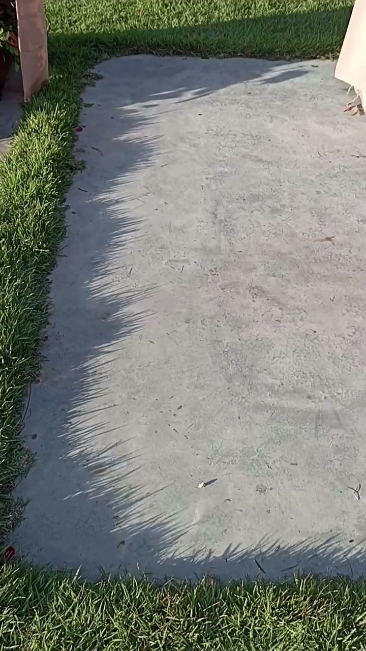 Singulart Assessoria E Cerimonial image