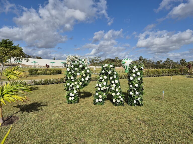 Mundo Da Lua Decorações image